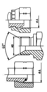 bspp 1