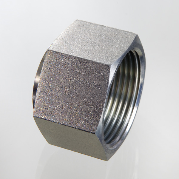 Blanking nut (VERSCHLUSS AJF)