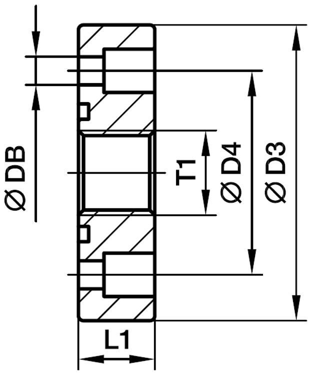 Gear Pumpe Flange Lige - Indvendig  BSPP Gevind