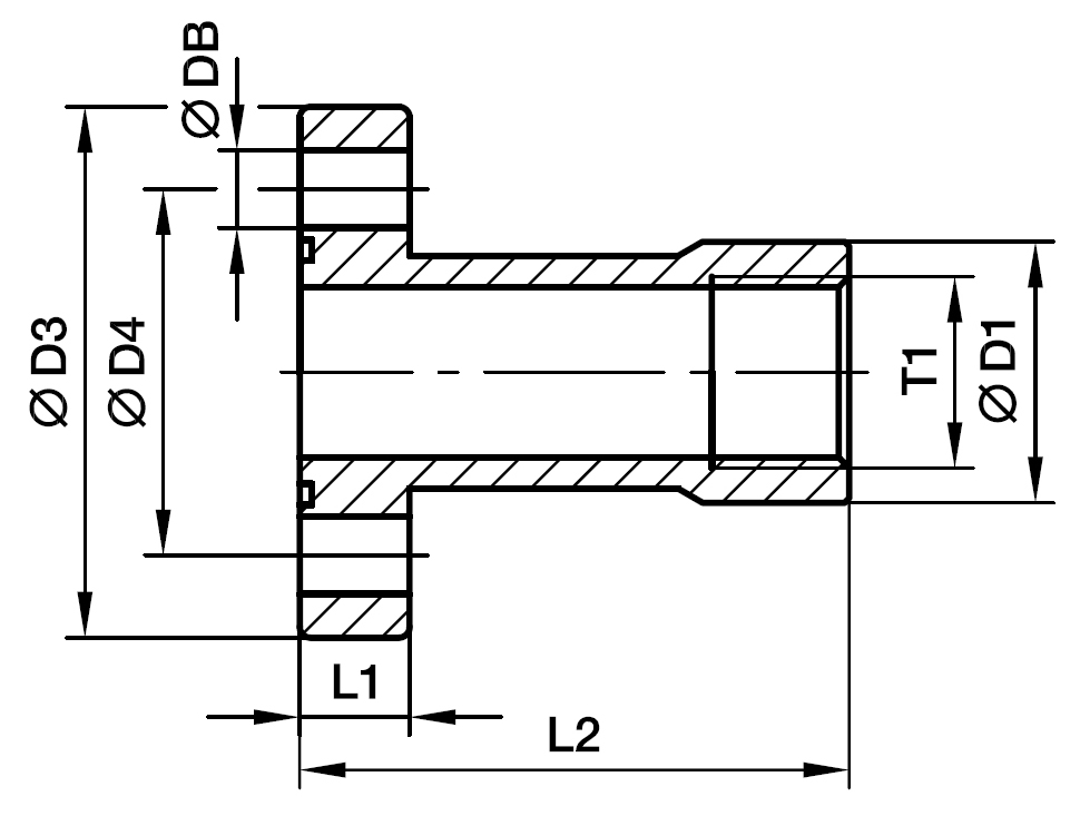 Gear Pumpe Flange Lige - Indvendig  BSPP Gevind – Lang version