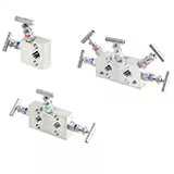 AP Manifold 2 Valve Manifold 1/2 NPT Female Inlet/Outlet,1/4 NPT Vent,Angle pattern